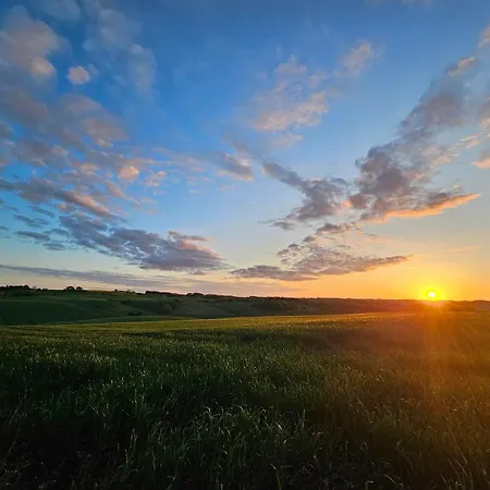 Spacious & Cozy In Tranquil Suburb